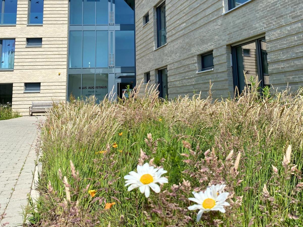 Appartements Haus Augustinus Munster  Exterior photo