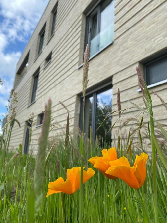 Appartements Haus Augustinus Munster  Exterior photo